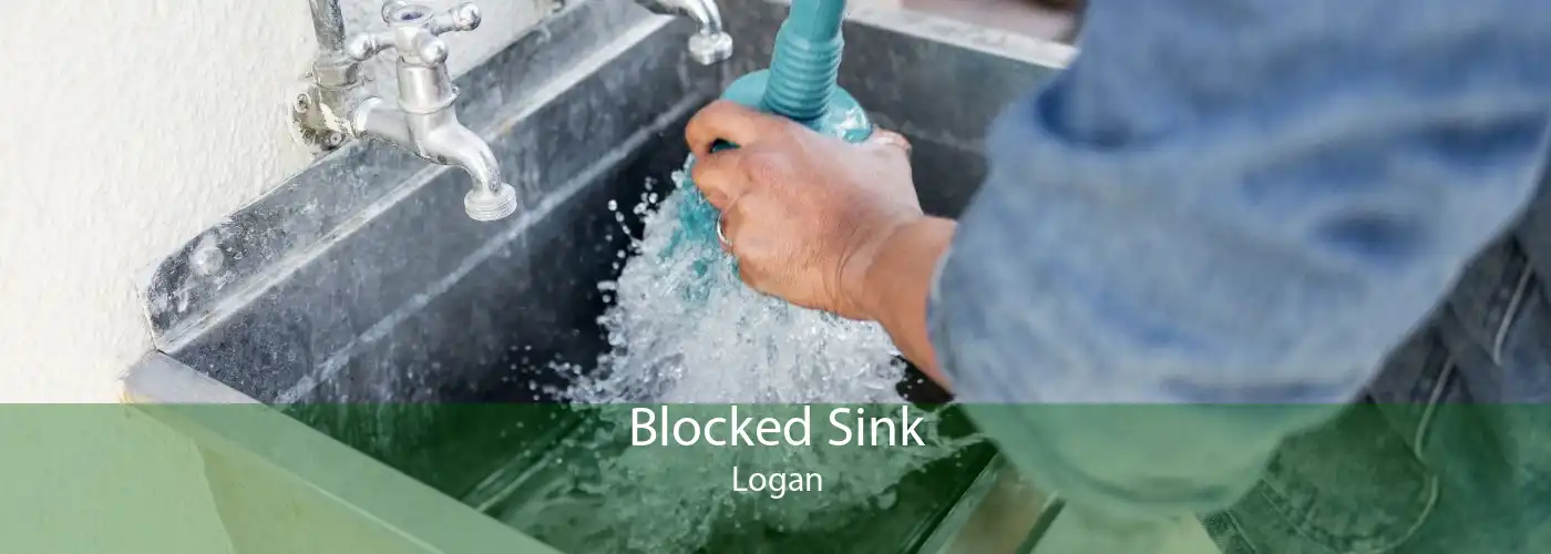 Blocked Sink Logan