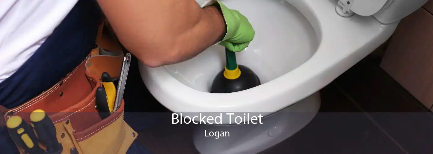 Blocked Toilet Logan