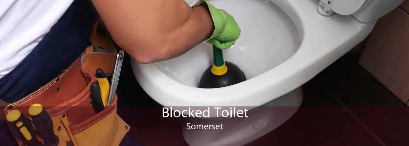 Blocked Toilet Somerset