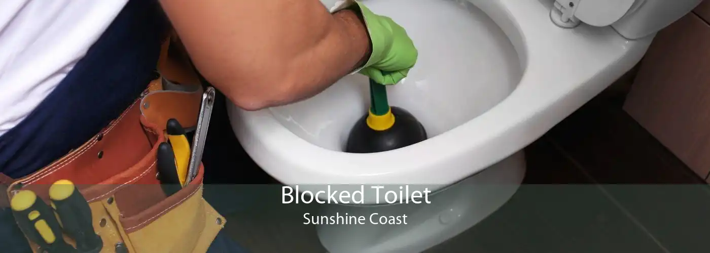 Blocked Toilet Sunshine Coast