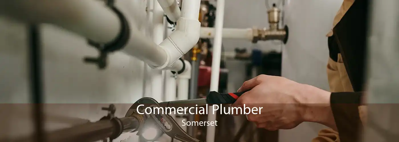 Commercial Plumber Somerset