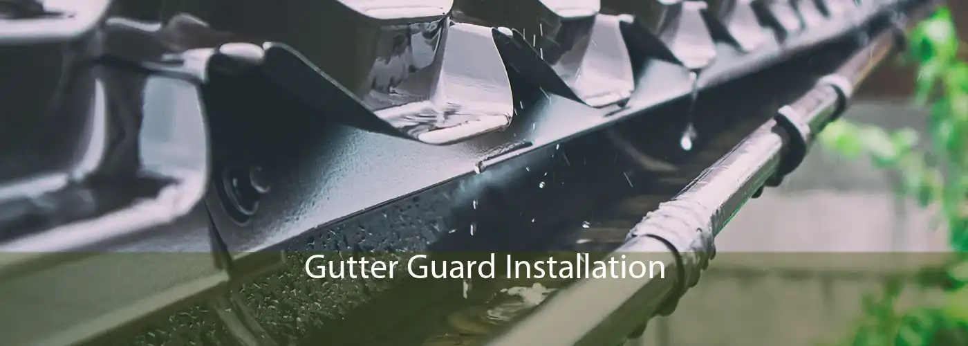 Gutter Guard Installation 
