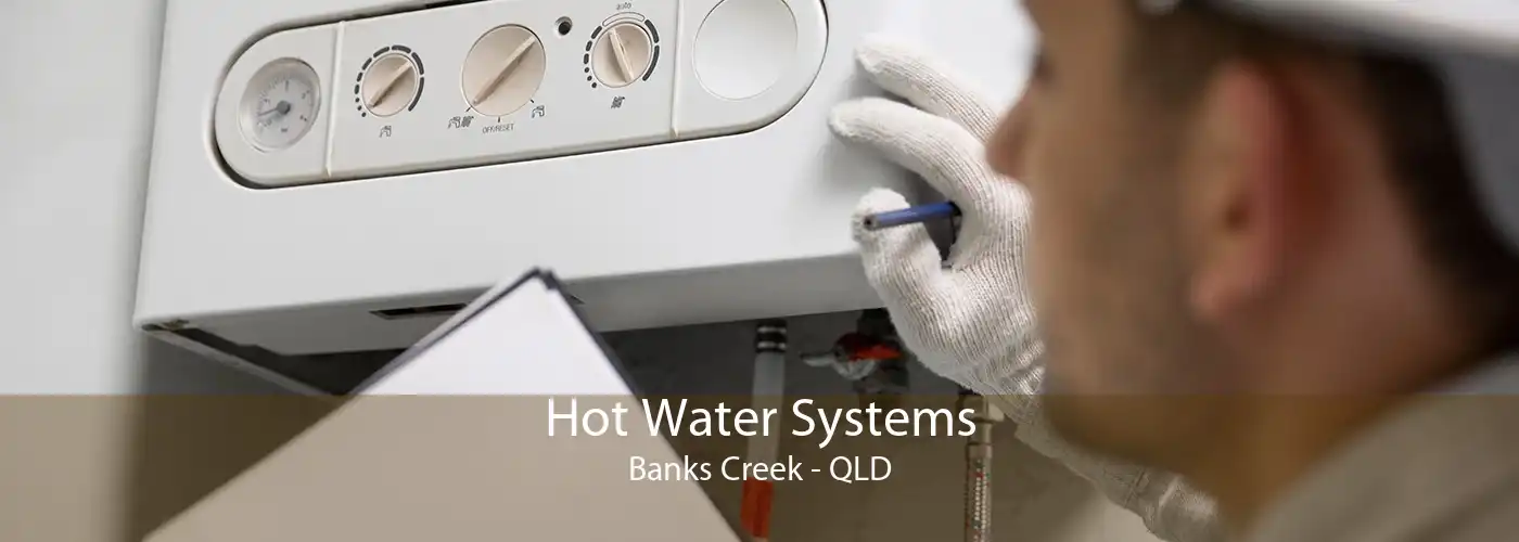 Hot Water Systems Banks Creek - QLD