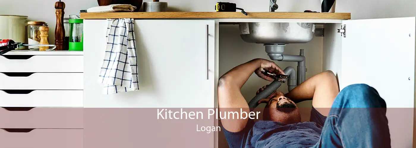 Kitchen Plumber Logan