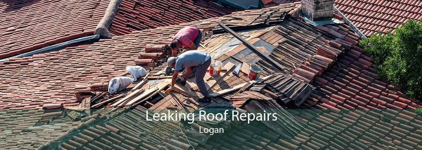 Leaking Roof Repairs Logan