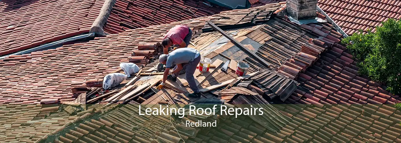 Leaking Roof Repairs Redland