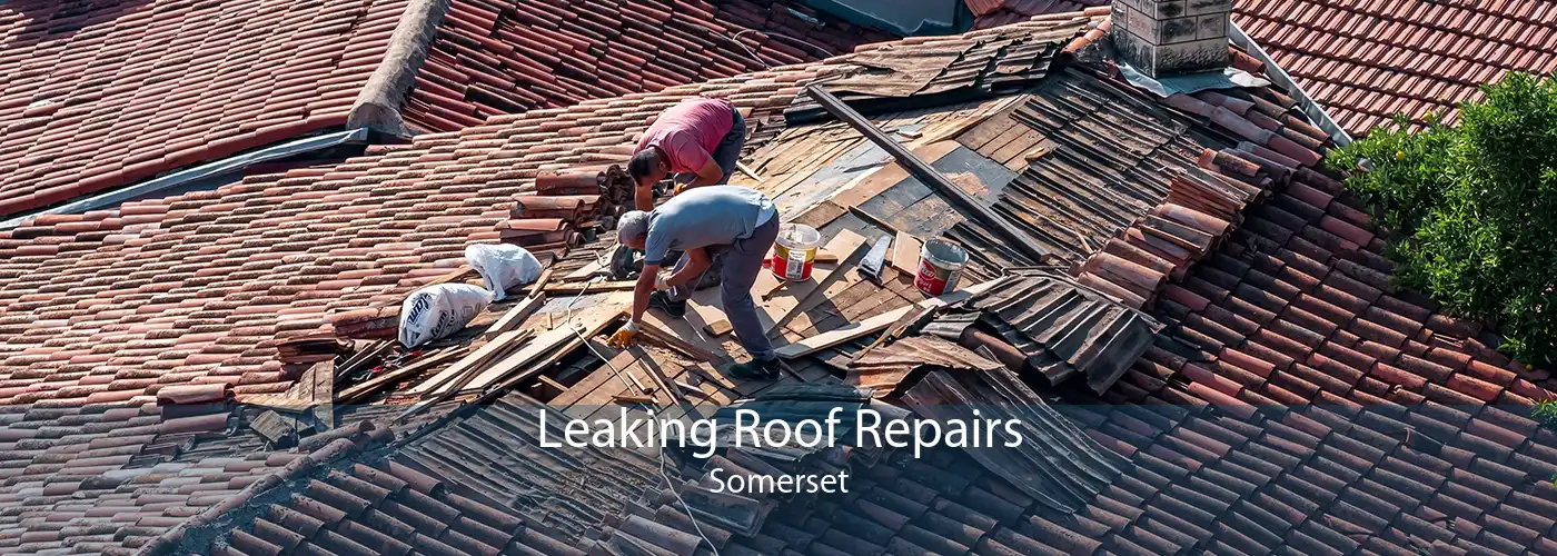 Leaking Roof Repairs Somerset