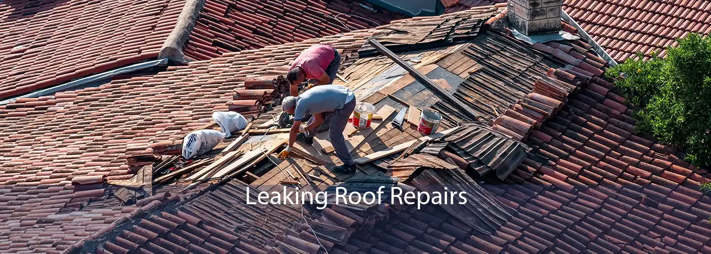 Leaking Roof Repairs 