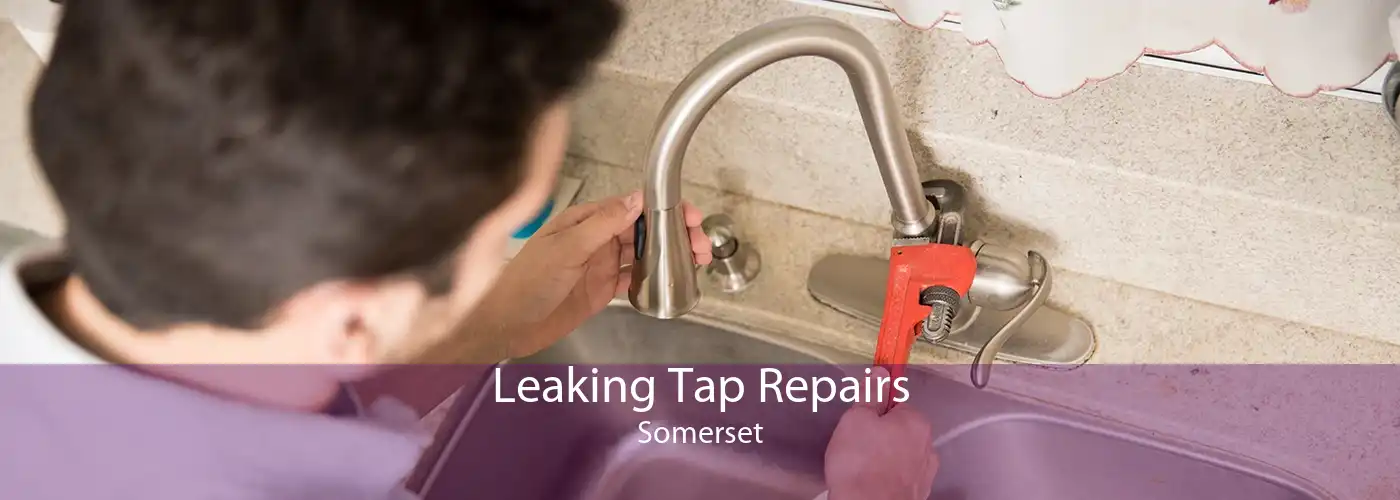 Leaking Tap Repairs Somerset