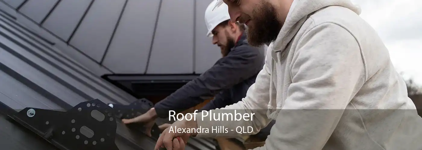 Roof Plumber Alexandra Hills - QLD