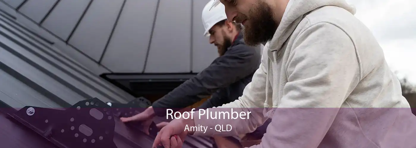 Roof Plumber Amity - QLD