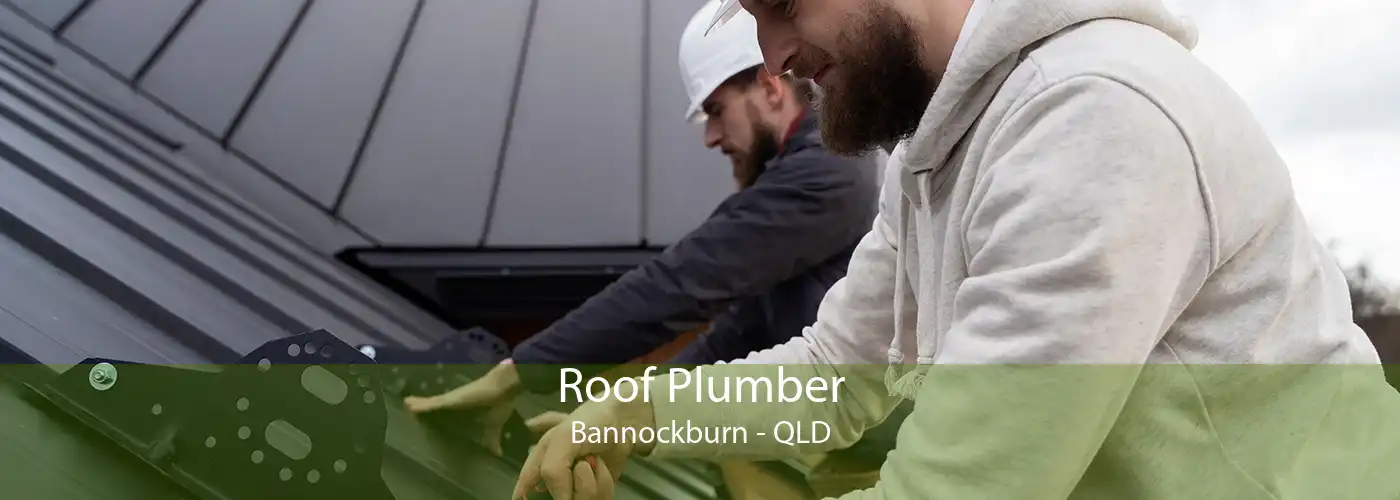 Roof Plumber Bannockburn - QLD