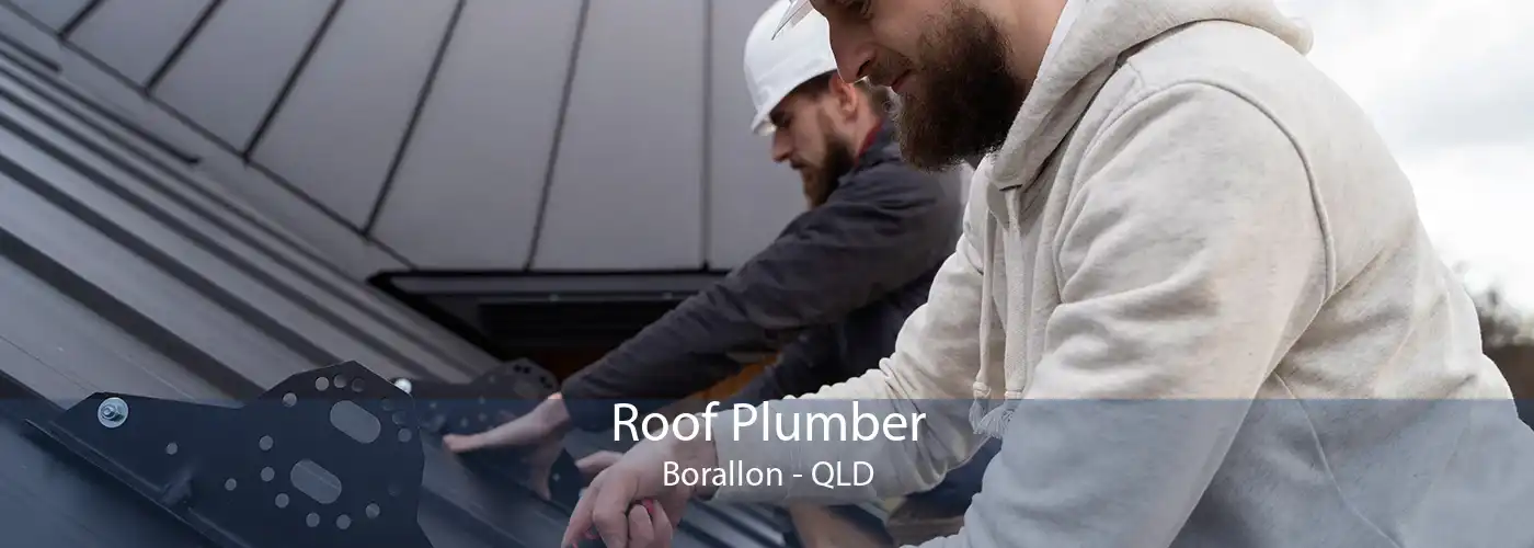 Roof Plumber Borallon - QLD