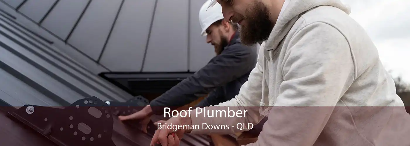Roof Plumber Bridgeman Downs - QLD