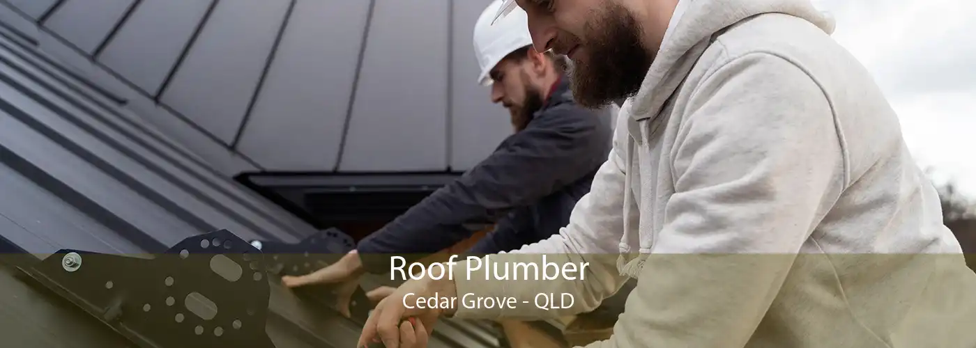 Roof Plumber Cedar Grove - QLD