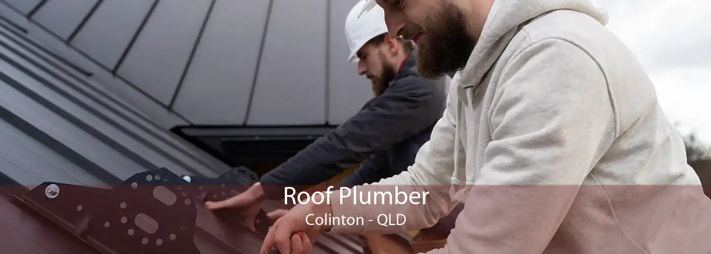 Roof Plumber Colinton - QLD
