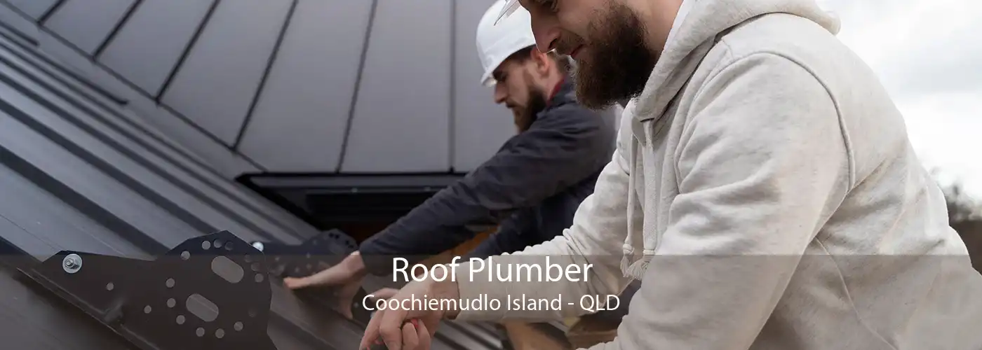 Roof Plumber Coochiemudlo Island - QLD