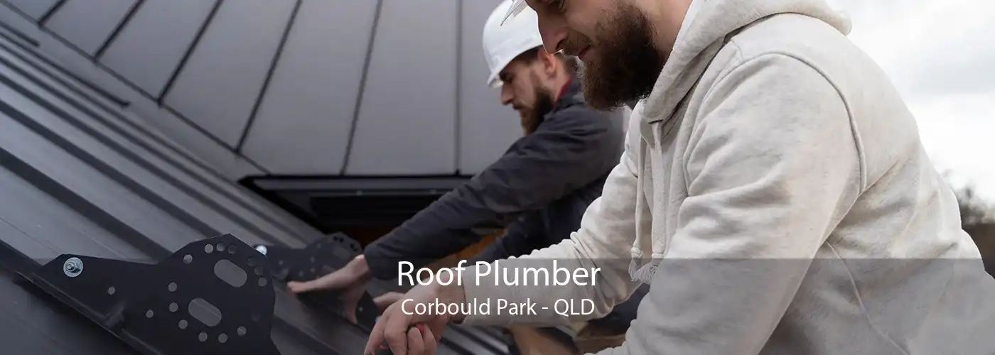 Roof Plumber Corbould Park - QLD