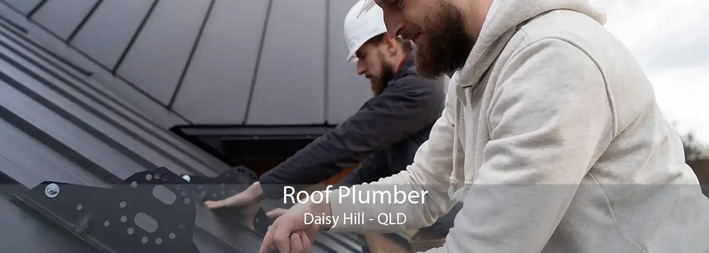 Roof Plumber Daisy Hill - QLD