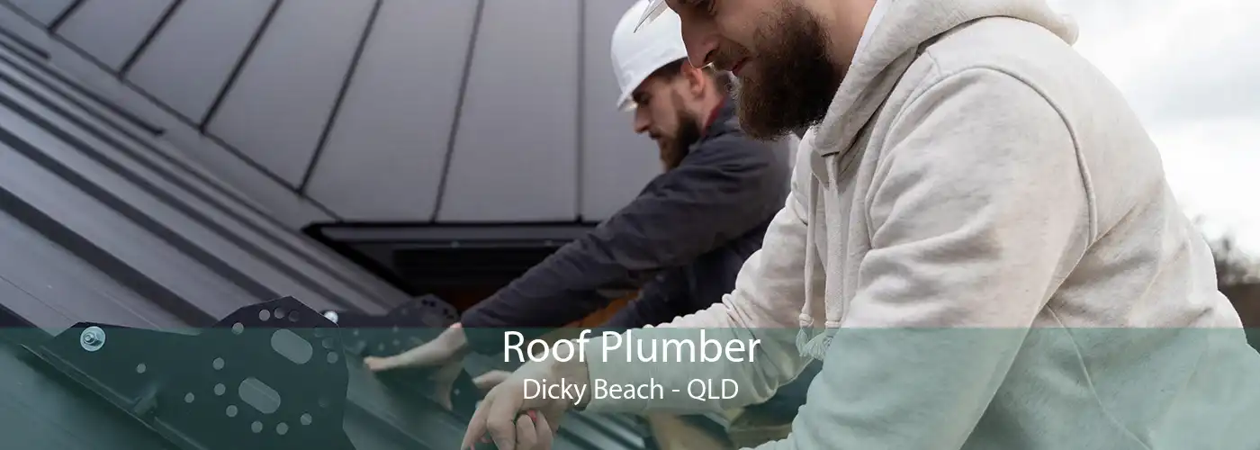 Roof Plumber Dicky Beach - QLD