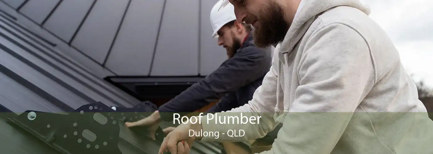 Roof Plumber Dulong - QLD