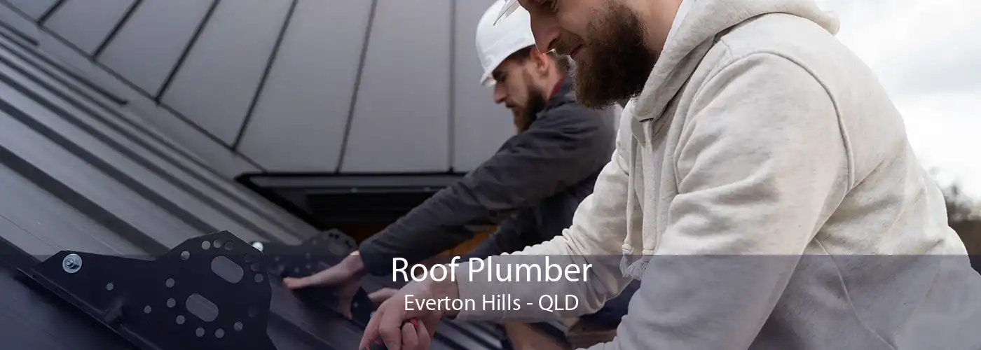 Roof Plumber Everton Hills - QLD