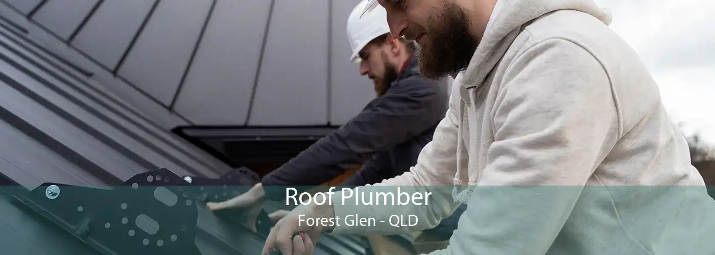 Roof Plumber Forest Glen - QLD
