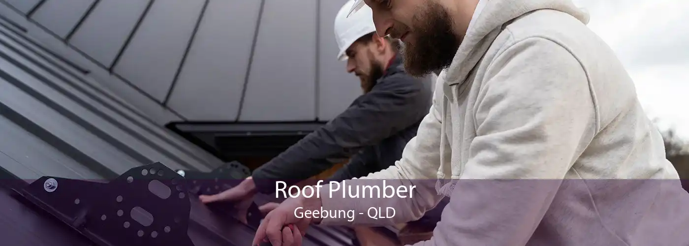 Roof Plumber Geebung - QLD