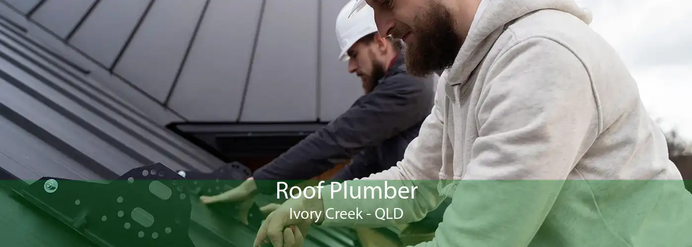 Roof Plumber Ivory Creek - QLD
