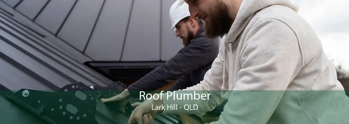 Roof Plumber Lark Hill - QLD