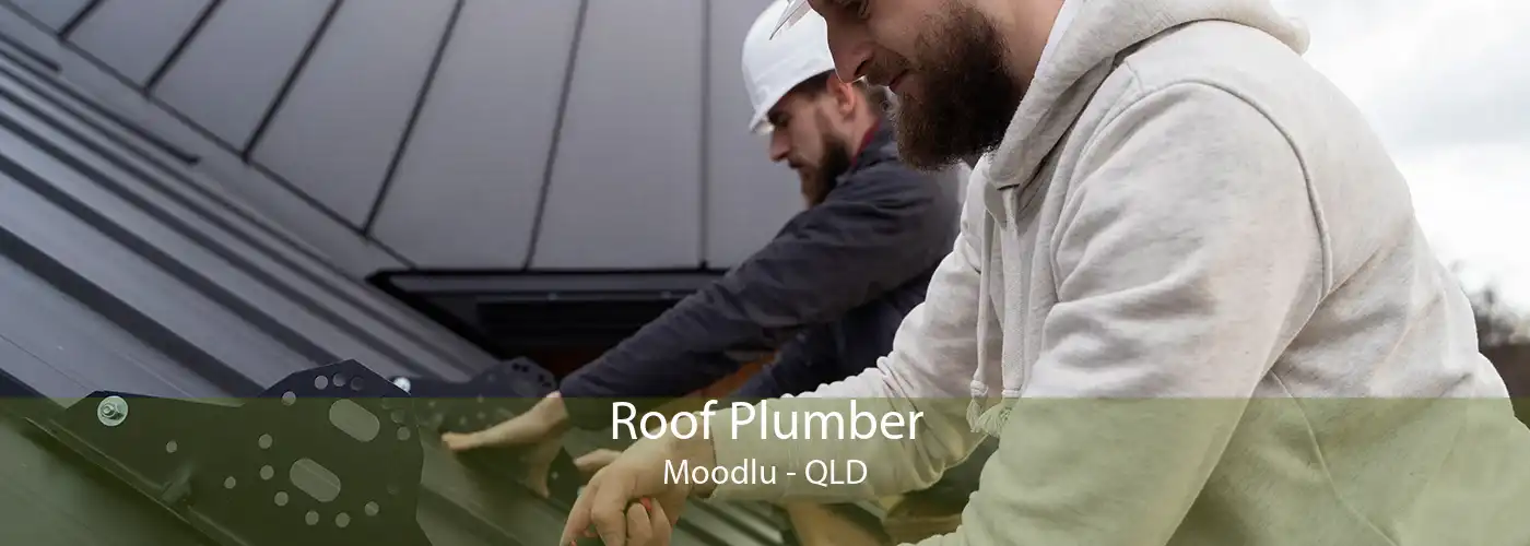 Roof Plumber Moodlu - QLD