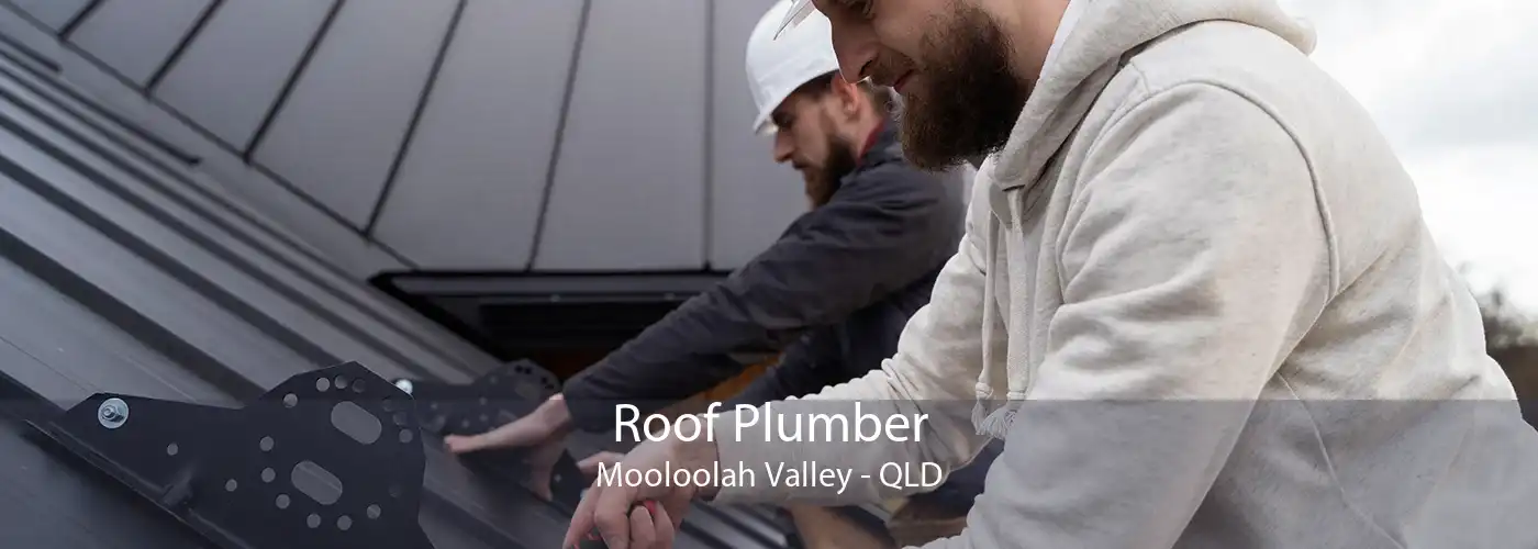 Roof Plumber Mooloolah Valley - QLD