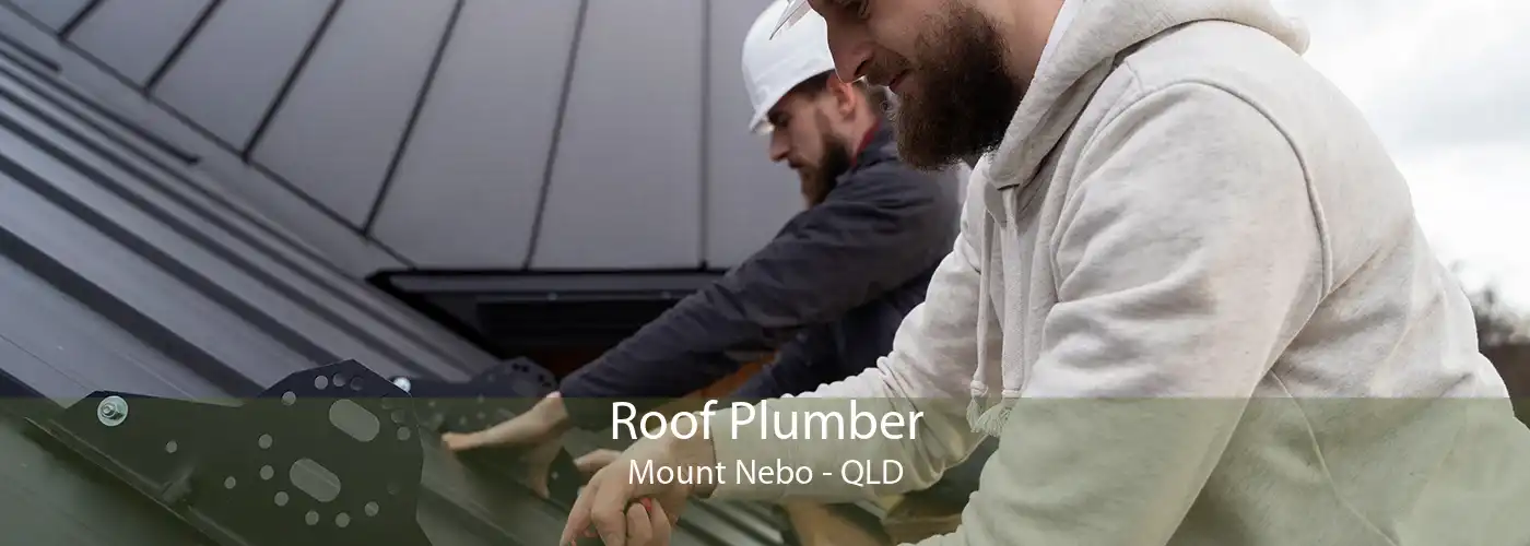 Roof Plumber Mount Nebo - QLD