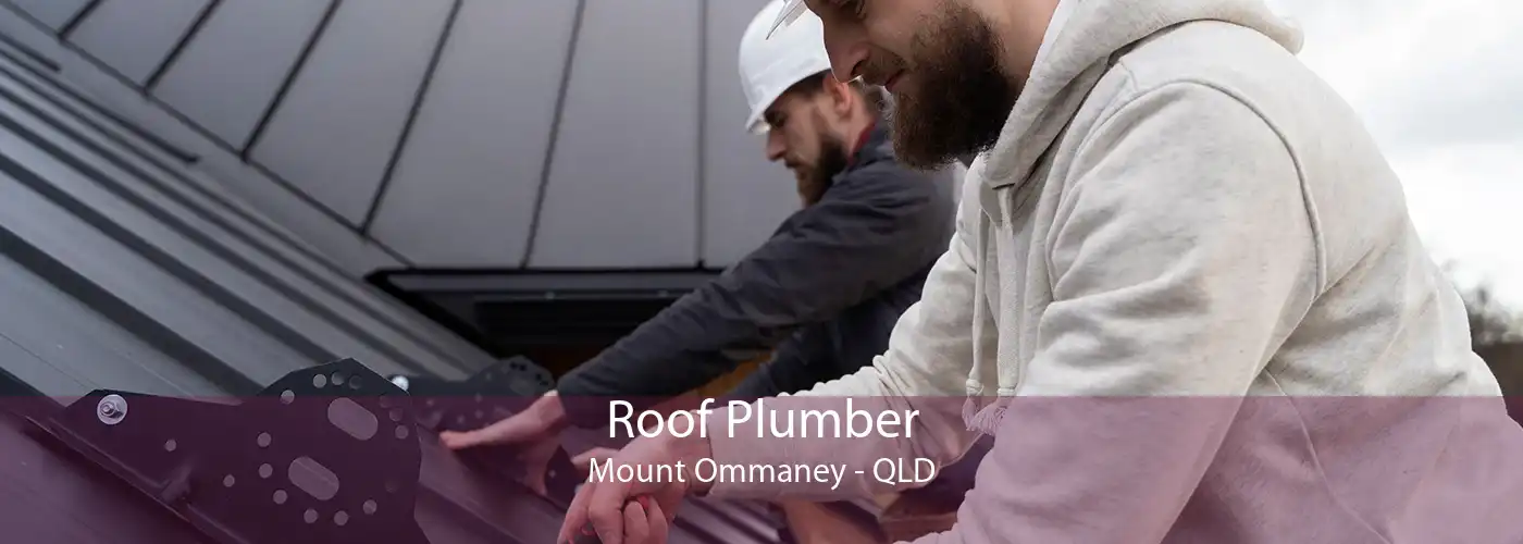 Roof Plumber Mount Ommaney - QLD
