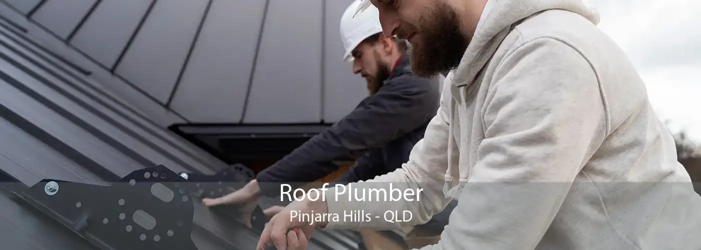 Roof Plumber Pinjarra Hills - QLD