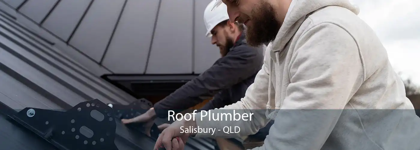Roof Plumber Salisbury - QLD