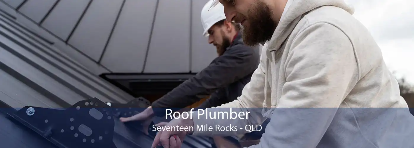 Roof Plumber Seventeen Mile Rocks - QLD
