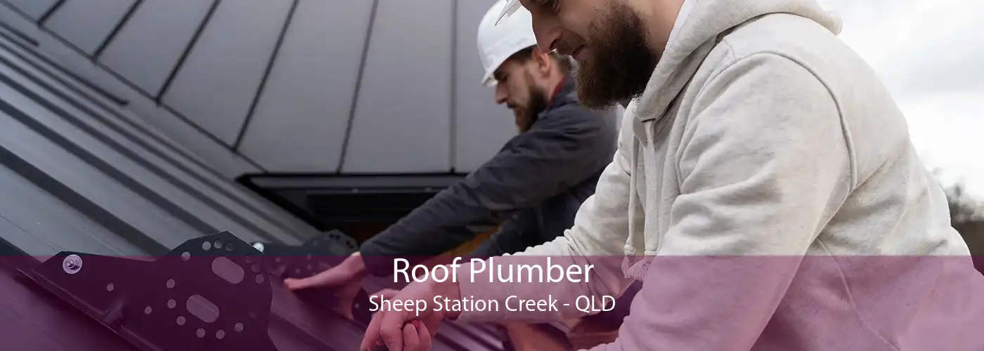 Roof Plumber Sheep Station Creek - QLD