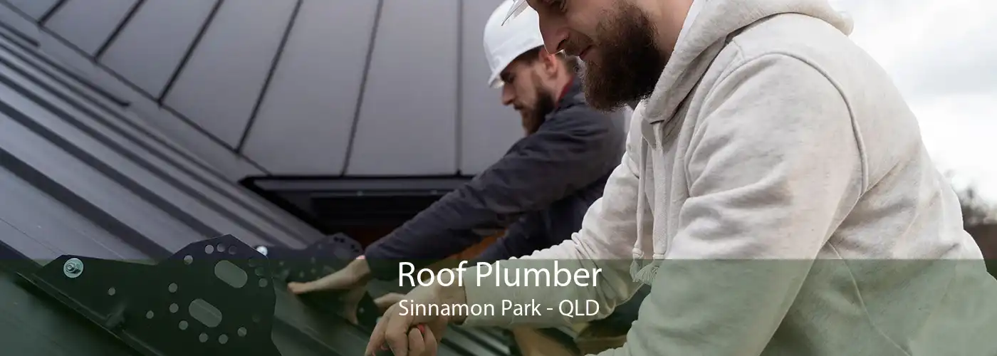 Roof Plumber Sinnamon Park - QLD