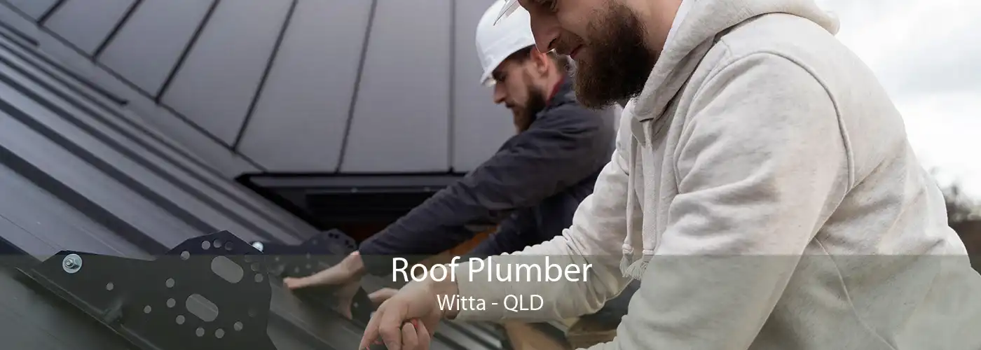 Roof Plumber Witta - QLD
