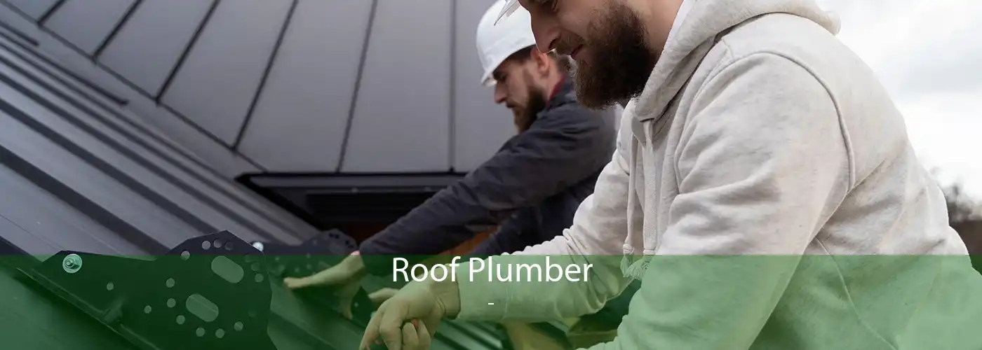 Roof Plumber  - 