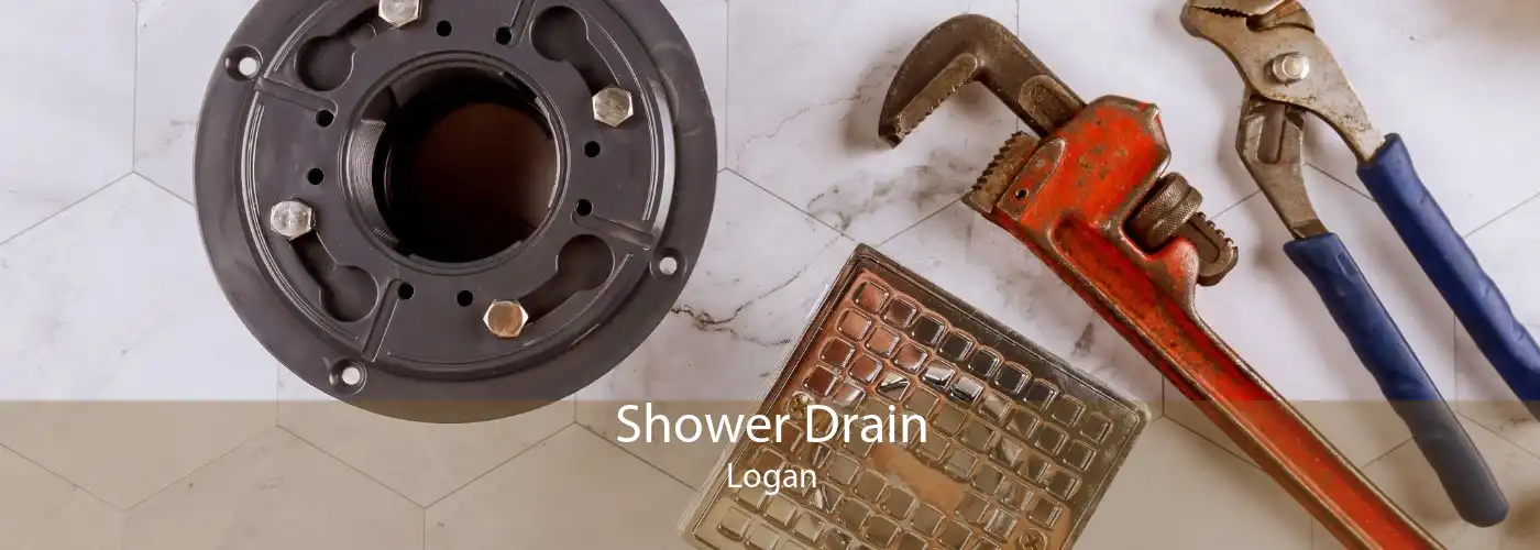Shower Drain Logan