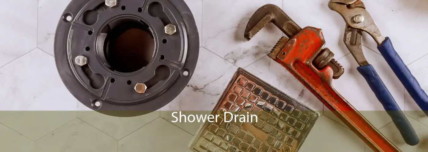 Shower Drain 