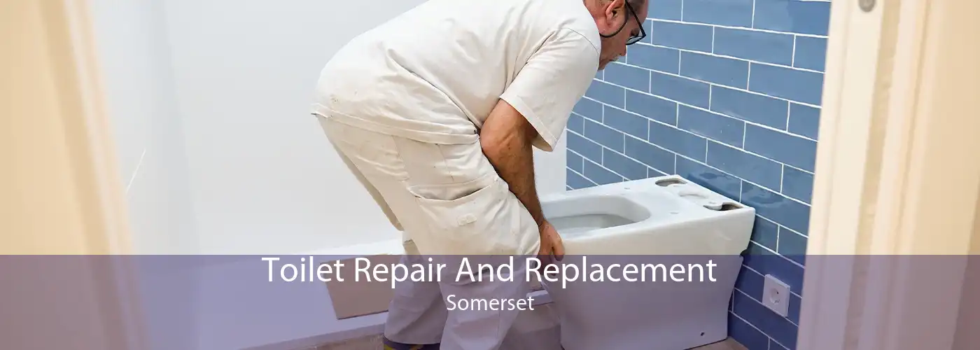 Toilet Repair And Replacement Somerset