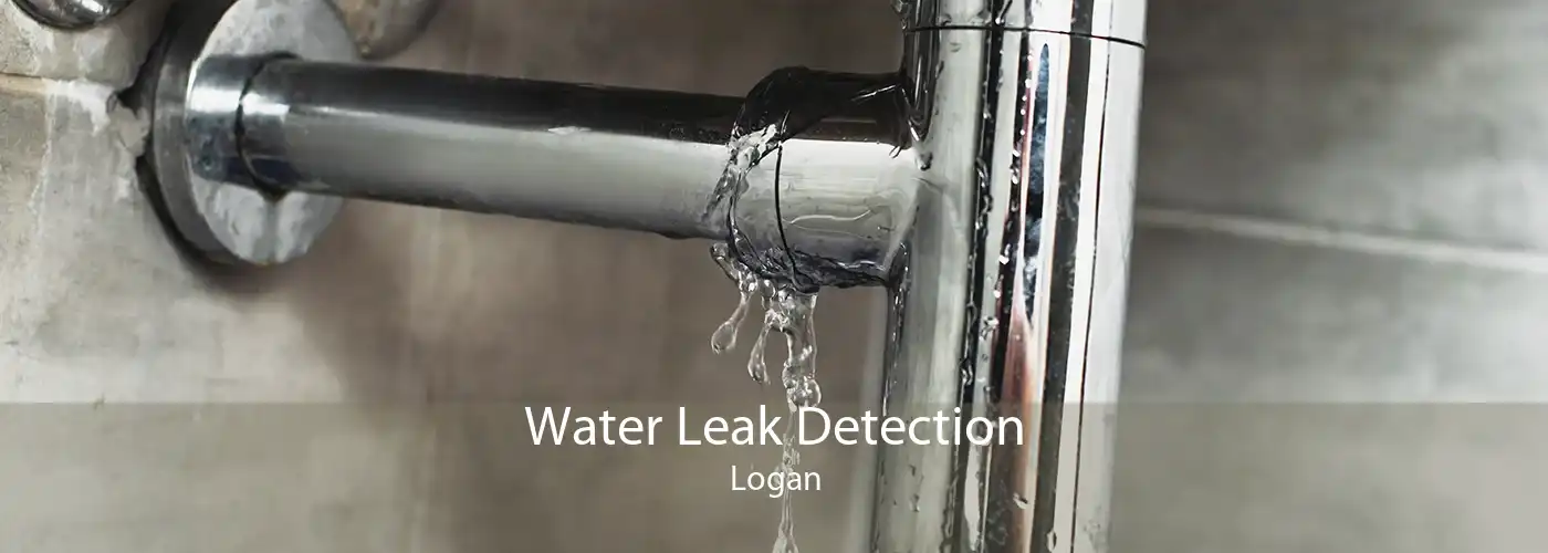 Water Leak Detection Logan