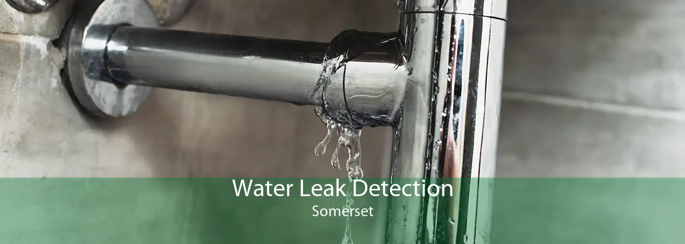 Water Leak Detection Somerset