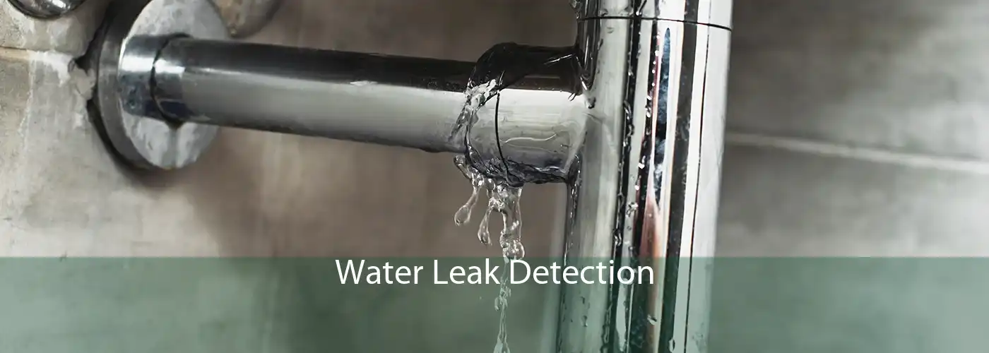 Water Leak Detection 