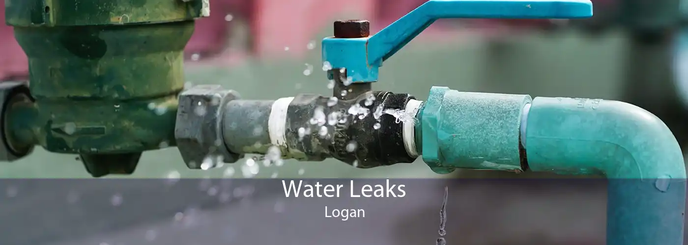 Water Leaks Logan