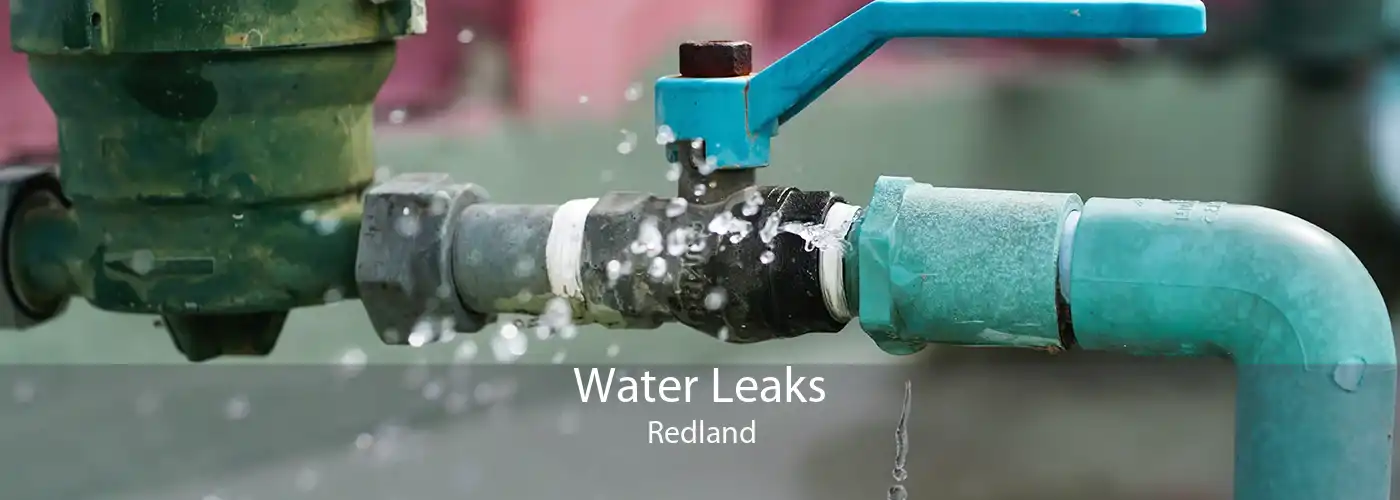 Water Leaks Redland