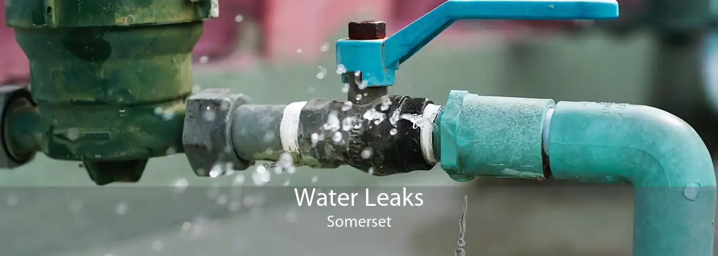 Water Leaks Somerset